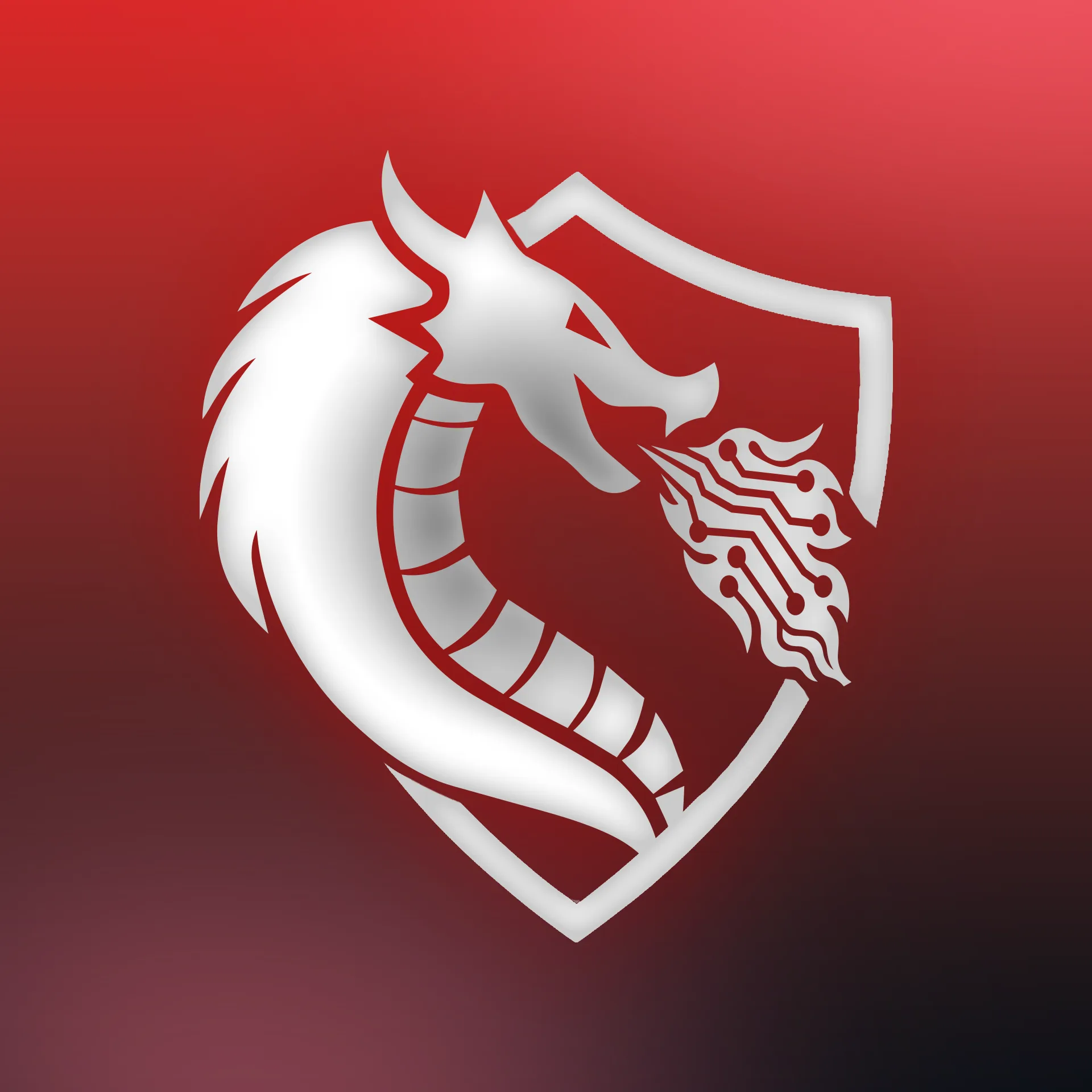 Logo FiveM — 50